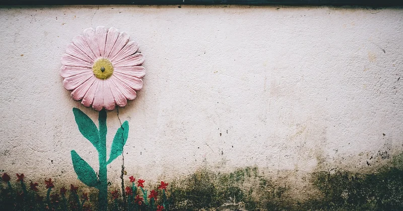 Quelles plantes choisir pour un jardin vertical extérieur ?